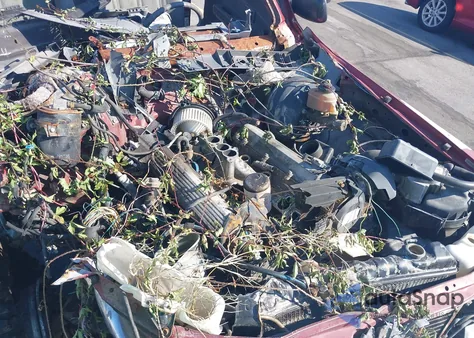 1989 Toyota Pickup 1/2 Ton Ex Lng Whlbse Dlx z USA, uszkodzony, nr VIN JT4VN13D4K5004635